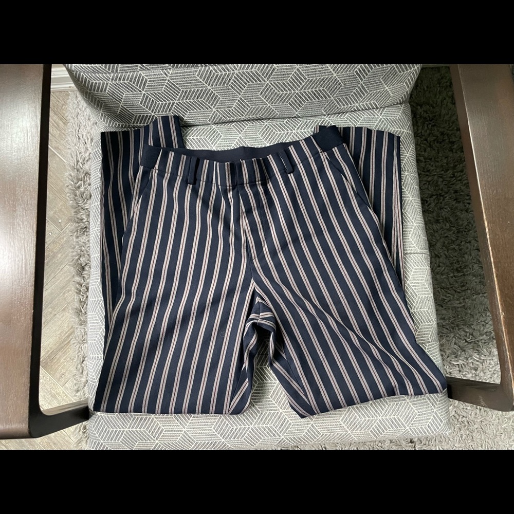 Uniqlo Navy Striped Pants